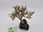 Garnelenbaum M 15×14 – Bild 2