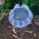 Garnelenkescher rund