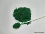 Spirulina Pulver 50g – Bild 3