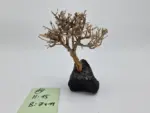Garnelenbaum M 15×14